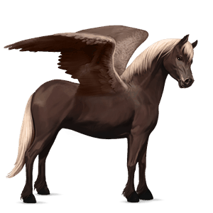 poni pegaso shetland bayo cereza
