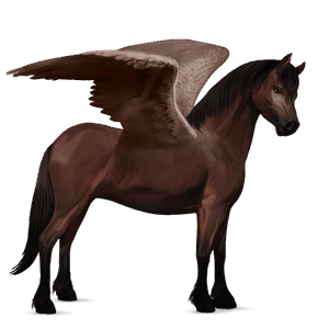 poni pegaso conemara alazán
