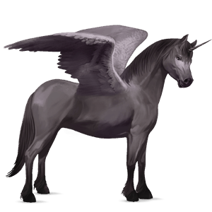 unicornio poni alado  brunblakk