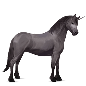 unicornio poni conemara isabelo