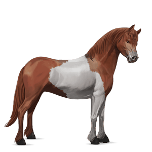 poni alazán tostado