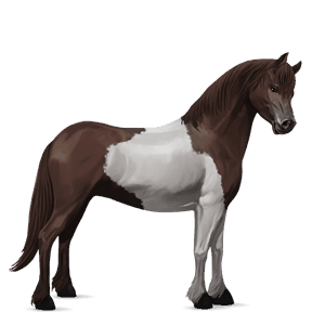 caballo de montar lusitano bayo tostado