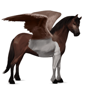 poni pegaso quarter poni pío tobiano bayo tostado