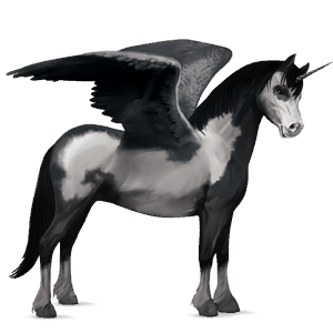 unicornio poni alado  pío negro tobiano