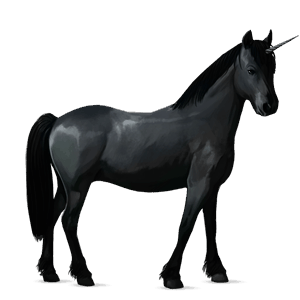 unicornio poni negro