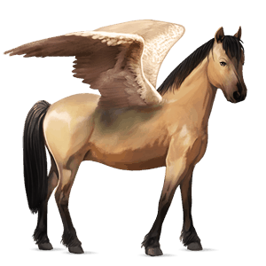 poni pegaso fjord brunblakk