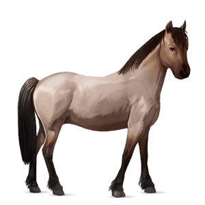 poni roano