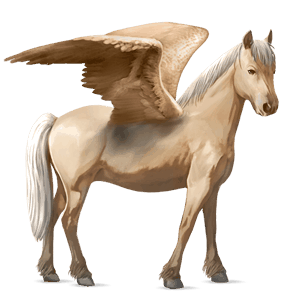 poni pegaso kerry bog palomino