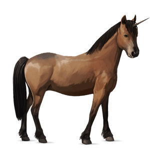 unicornio poni bayo