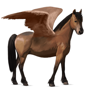 poni pegaso kerry bog negro