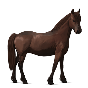 poni alazán tostado