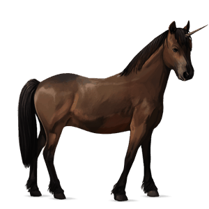 unicornio poni negro