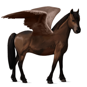 poni pegaso quarter poni bayo tostado