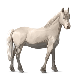 poni chilote gris tordo