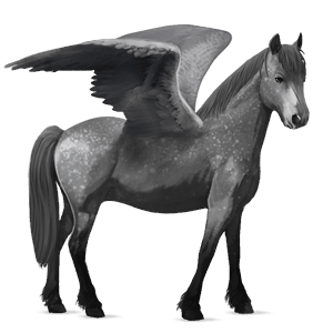 poni pegaso chilote gris claro