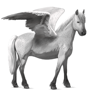 poni pegaso chilote gris claro