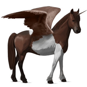 unicornio poni alado  quarter poni negro