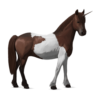 unicornio de montar caballo de silla alemán overo