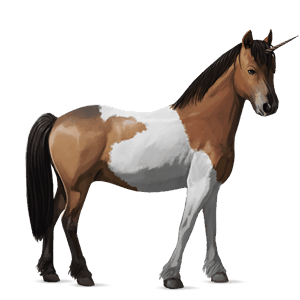 unicornio poni welsh bayo