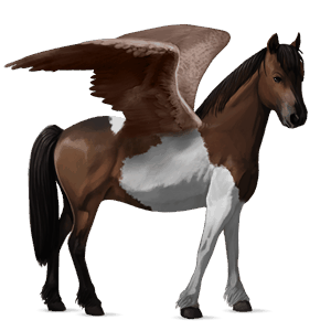 poni pegaso shetland alazán