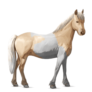 caballo de montar lusitano gris claro