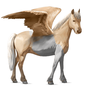 poni pegaso kerry bog negro