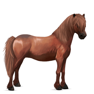 poni shetland alazán