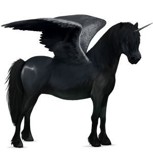 unicornio poni alado  negro
