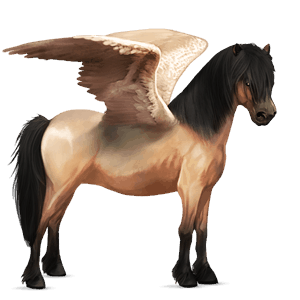 poni pegaso chilote gris claro