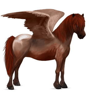 poni pegaso poni de terranova bayo cereza