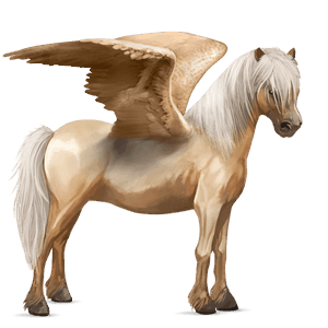 poni pegaso kerry bog palomino