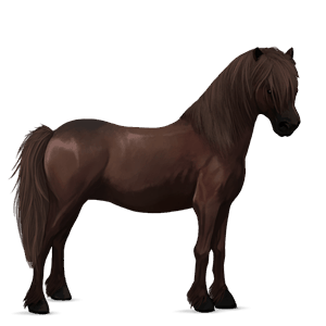 poni losino negro