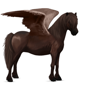 poni pegaso chilote roano