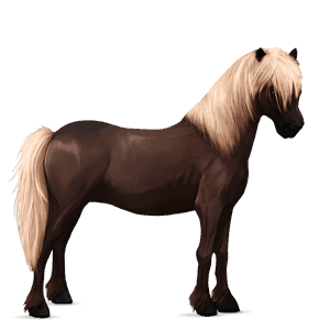 poni quarter poni alazán