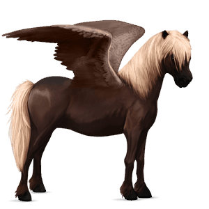 poni pegaso chilote roano