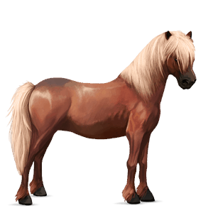 poni gulblakk
