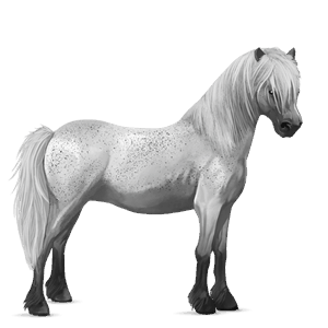 poni chilote roano