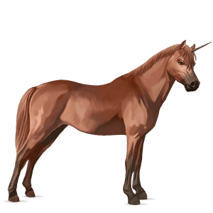 unicornio poni quarter poni bayo