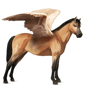 poni pegaso poni de silla belga isabelo