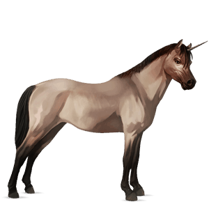unicornio poni welsh bayo