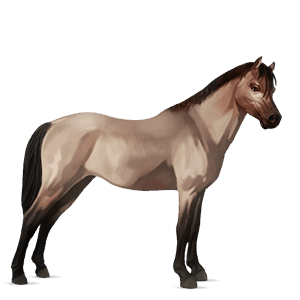 poni haflinger alazán tostado crines lava