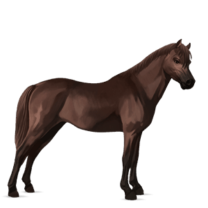 poni alazán tostado