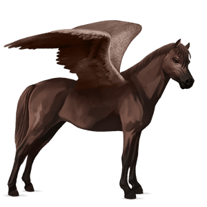 poni pegaso poni de terranova alazán tostado