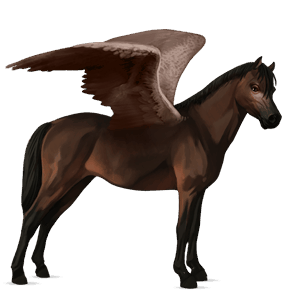 pegaso de montar pura raza española bayo tostado