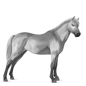 poni poni highland gris claro
