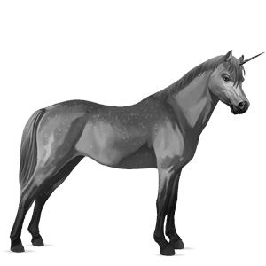 unicornio poni welsh gris tordo