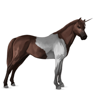unicornio poni quarter poni pío tobiano bayo tostado