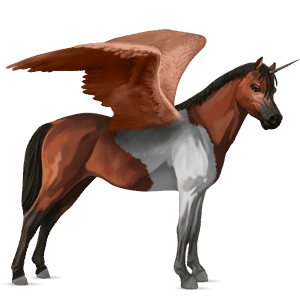 unicornio poni alado  losino negro