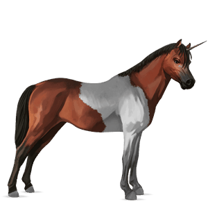 unicornio poni quarter poni pío overo bayo