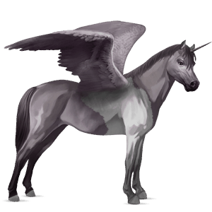 unicornio poni alado  pío tobiano gris ratón